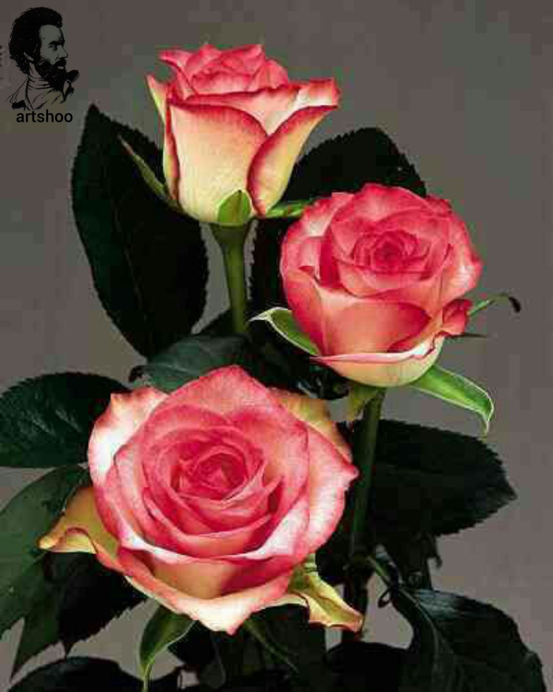 گل اورژینال رنگ روغن